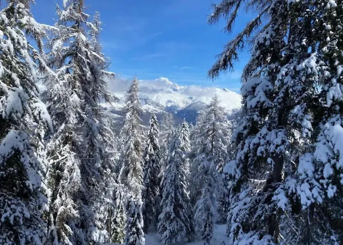 Apartment Le Rhododendron