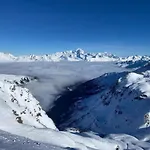 Le Rhododendron La Plagne-Tarentaise