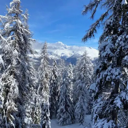 Apartment Le Rhododendron